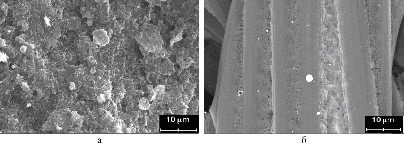 Электронно-микроскопические изображения поверхности электрокатализаторов